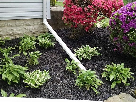 4th image of 192 Shadyside Dr