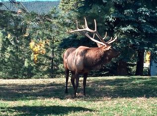 31300 Eagle Crest Ln, Evergreen, CO 80439