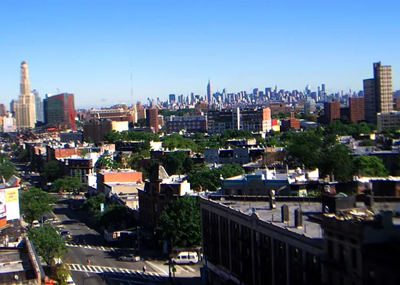 Sold by Douglas Elliman | media 11