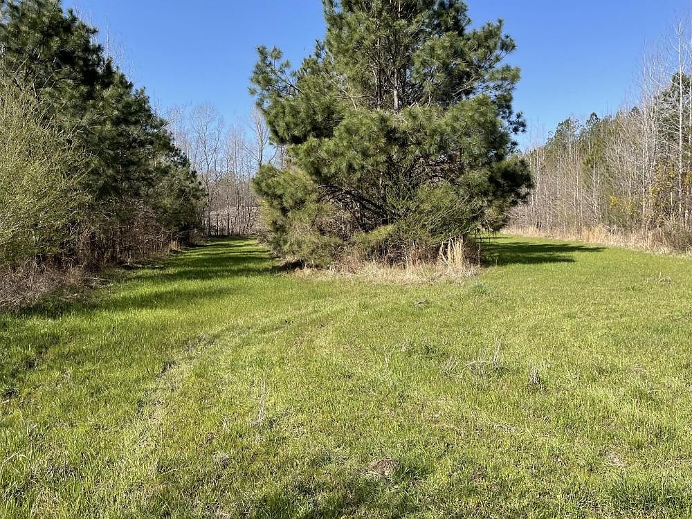 0 Shake Rag Rd, Sulligent, AL 35586 Zillow