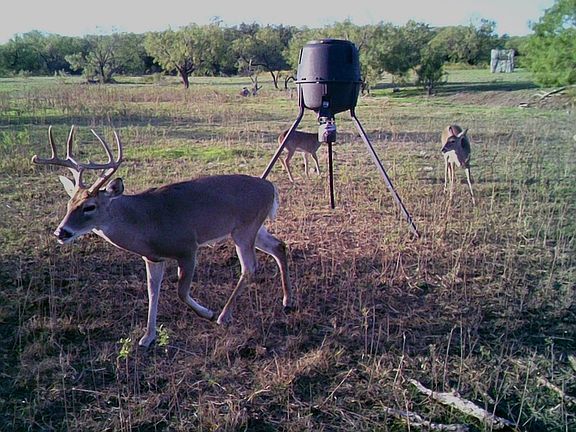 4th image of 88291 Suaa Rd #286