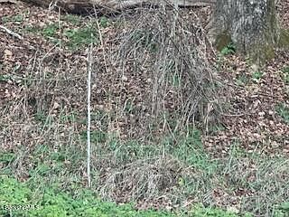 2nd image of 0 Clayton Mill River Rd