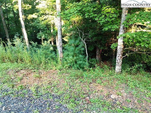 4th image of Lot 68 Autumn Fern Trail