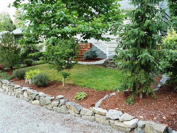 Looking Back at Front Yard from street
