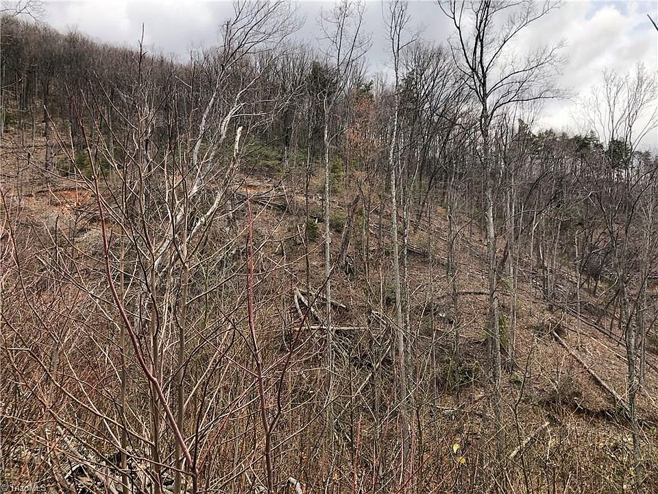 2nd image of 0 Pauls Creek Rd