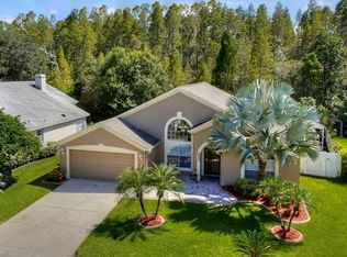 6518 Appaloosa Dr, Tampa, FL 33625