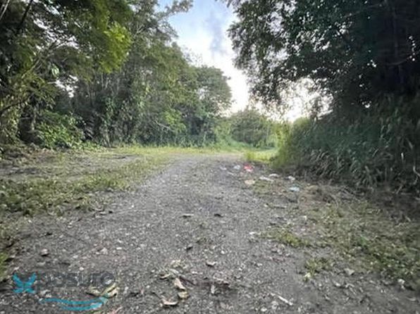 0 Bo German Abajo, Palmer, PR 00721