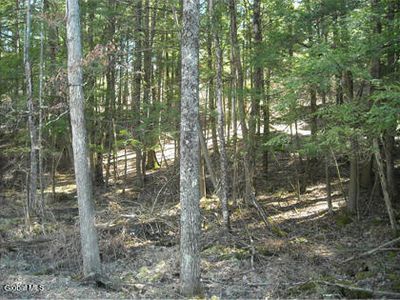 l-8.111 Carpenter, Johnsonville, NY, 12094