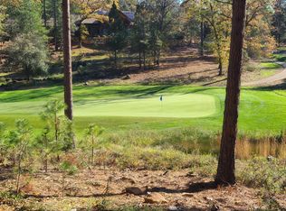 1602 The Point Rd, Meadow Vista, CA 95722