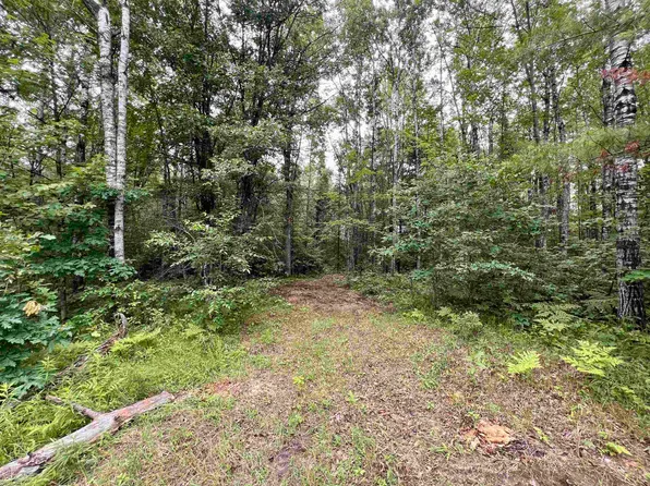 Reynolds Rd #4, Wausaukee, WI 54177