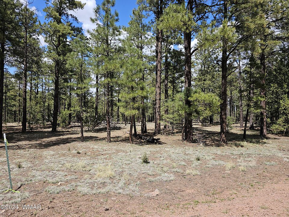 2nd image of 77 County Road 2223
