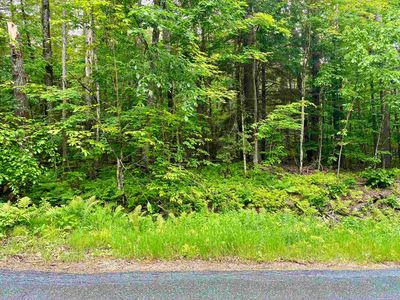 Lot 6 North Skinny Ridge Road 51-5 Lot 6, Littleton, NH, 03561
