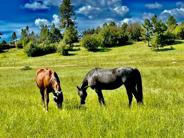 3 Elk Dr, Chama, NM 87520