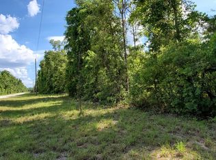 SW Loncala Loop, Fort white, FL 32038