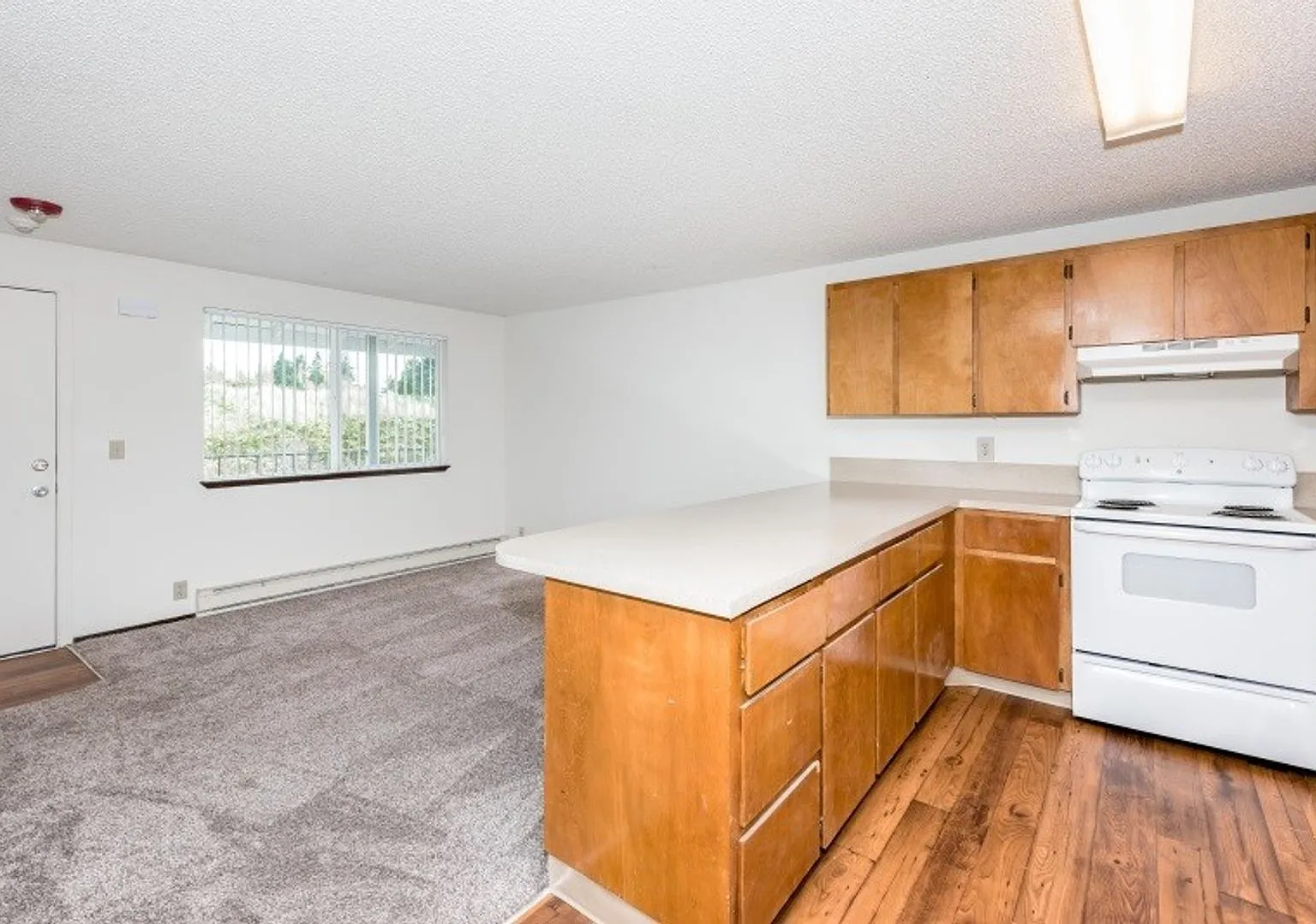 Large One Bedroom Close to Vancouver Mall — Photo 3