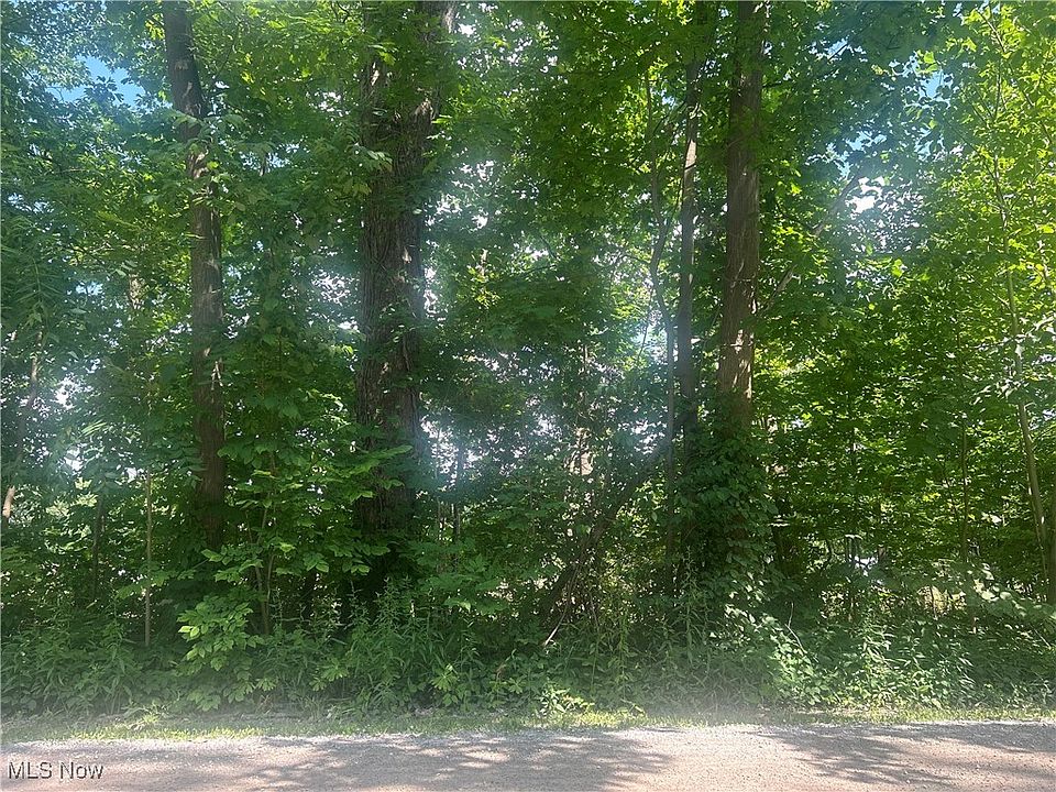 2nd image of Owen Rd