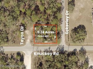 14422 Tayco Dr, Weeki Wachee, FL 34614