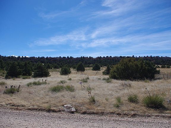 2nd image of LOT 65 Navajo Ranch Resorts #1