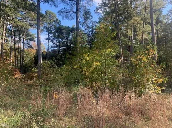 42AC Pinehaven Rd, Courtland, VA 23837