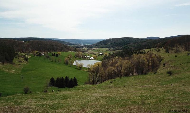 4th image of RED OAK Drive