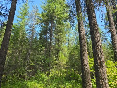 395 Highway, Loon Lake, WA, 99148