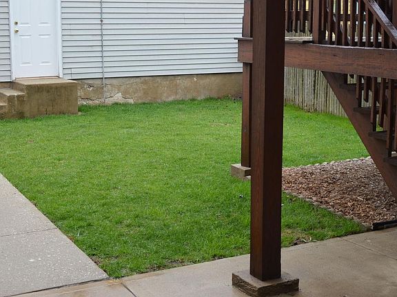 back yard
