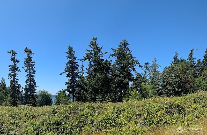 3rd image of 4343 (appx) S Camano Drive