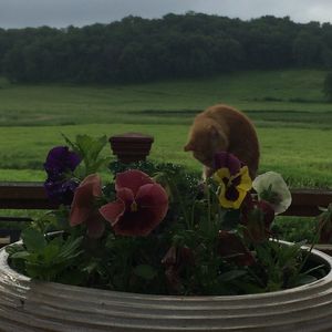 2090 Sandy Rock Rd, Barneveld, WI, 53507