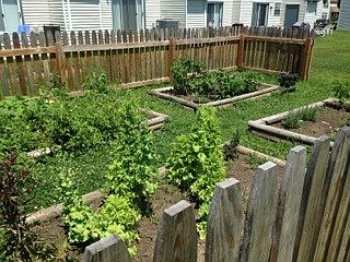 Vegetable garden
