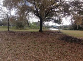 14805 Patterson Rd, Odessa, FL 33556