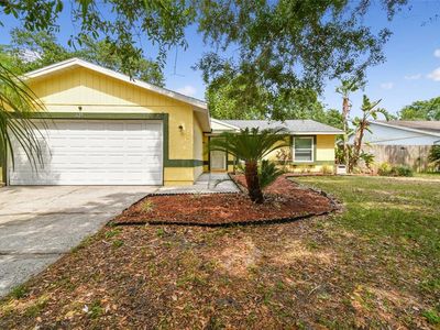 629 Timber Bay Cir W, Oldsmar, FL, 34677