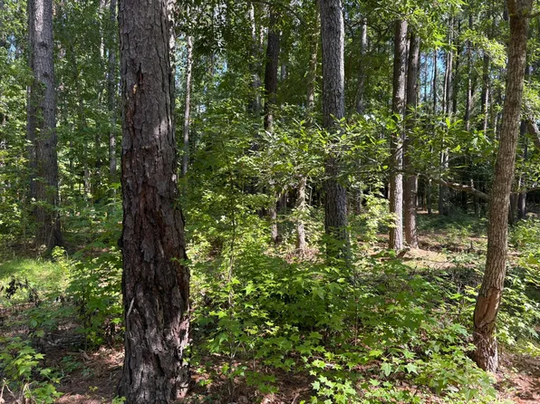 312 Weeks Landing Rd, Cameron, SC 29030