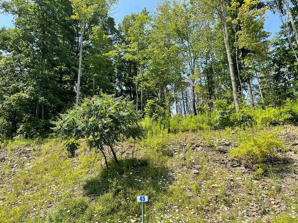 LOT-45A Hemlock Hill Rd photo 1