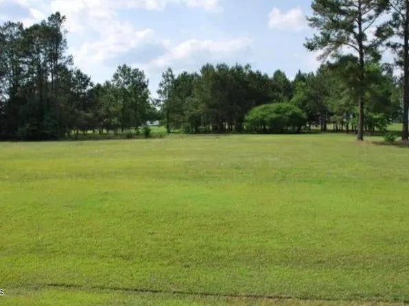 33 Beaver Creek, Deep Run, NC 28525