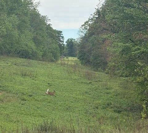 5th image of 1311 Red Hill Rd