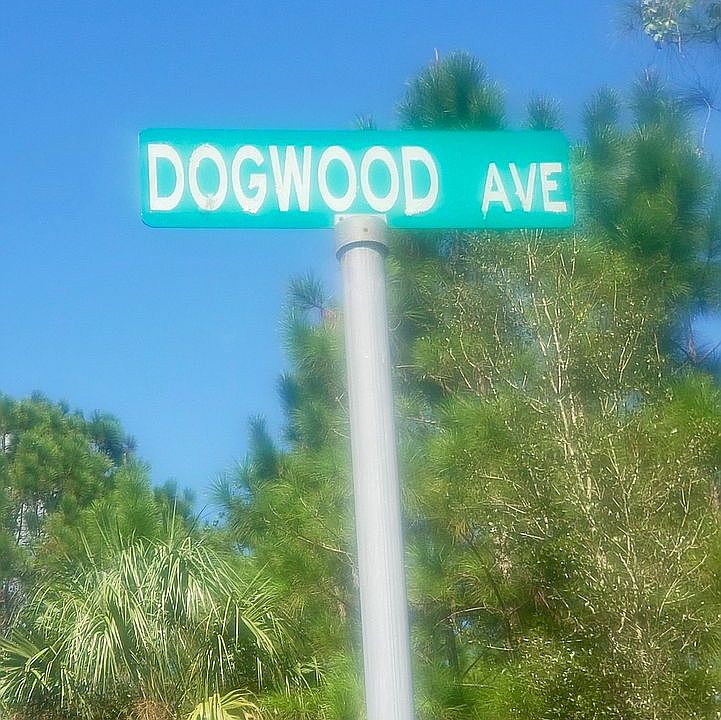 1st image of 118 Dogwood Ave