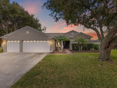 19719 Spring Willow Ct, Odessa, FL, 33556