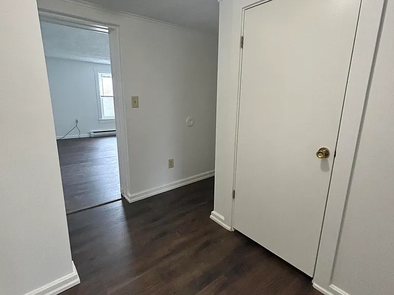 533 Chestnut St #2 — Photo 6