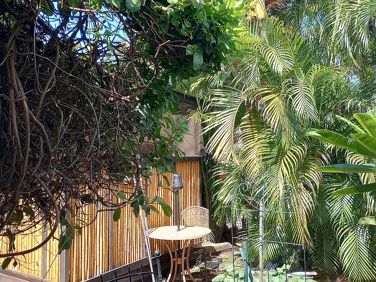 Kaikea St — Photo 8