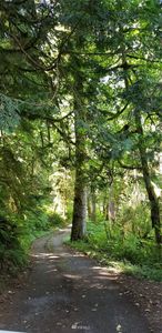 0 Mt Loop Highway, Granite Falls, WA, 98252
