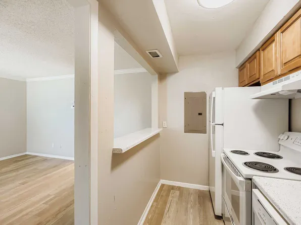 The Paddock on Park Row