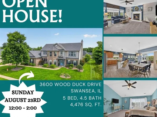 3600 Wood Duck Dr, Swansea, IL 62226