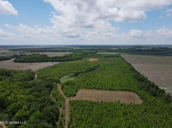 Brahan Rd, Sledge, MS 38670
