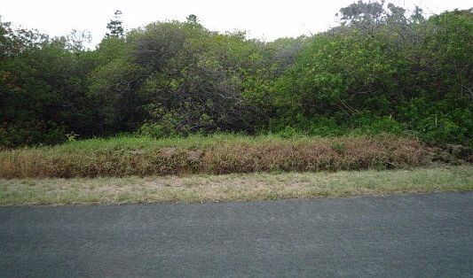 1st image of Kaulua St Lot 324