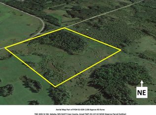 40th St SW, Sebeka, MN 56477
