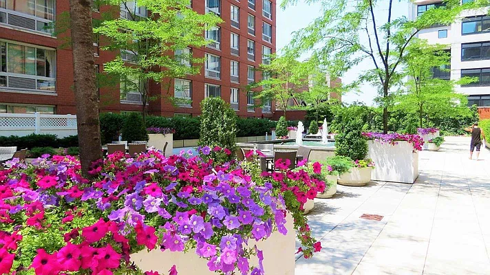 Rented by Sapo Group | media 15