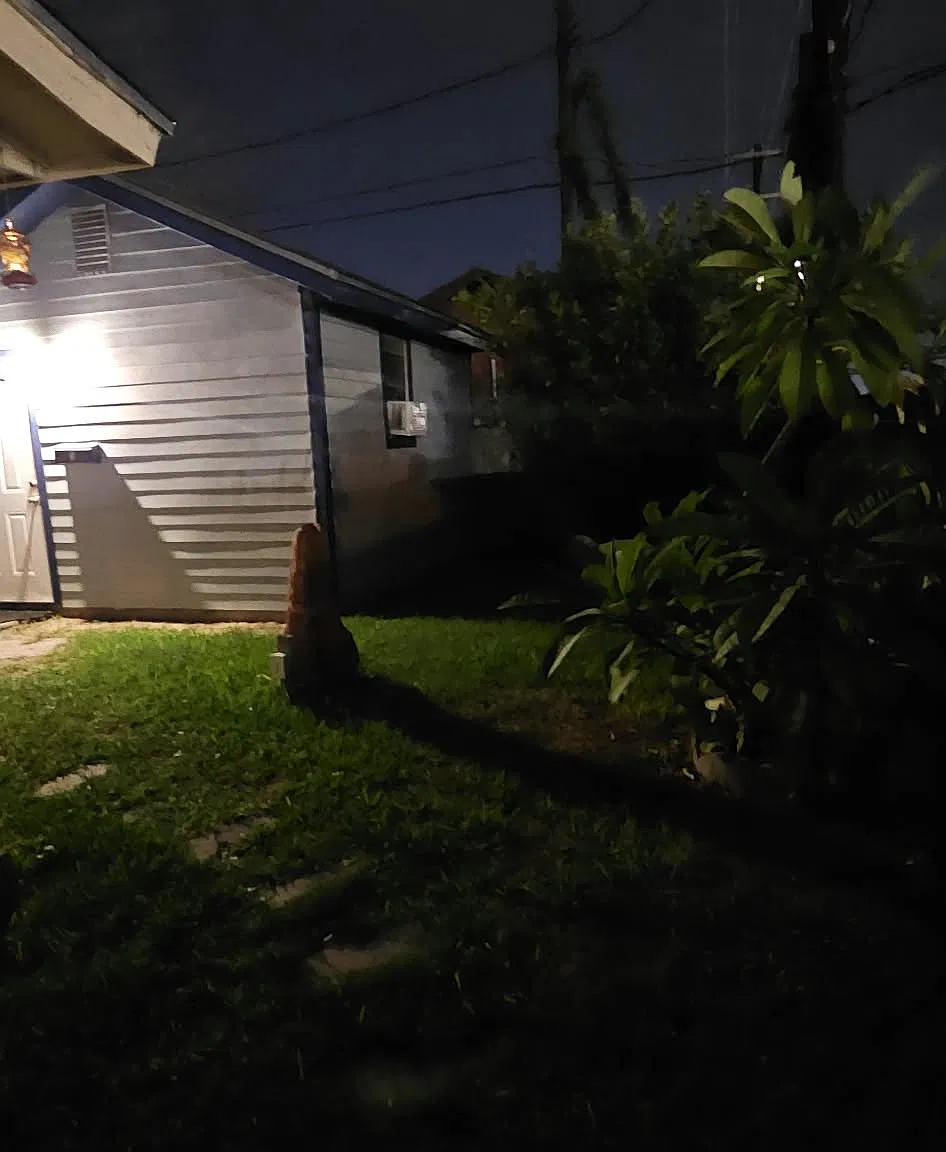 1 bed, 256 sqft, $650 — Photo 2