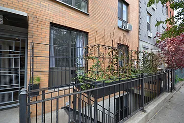 Rented by Bold New York