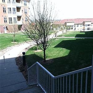 1st image of 600 Greenhaven Dr APT 116