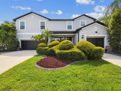 3809 Tristram Loop, Land O Lakes, FL, 34638
